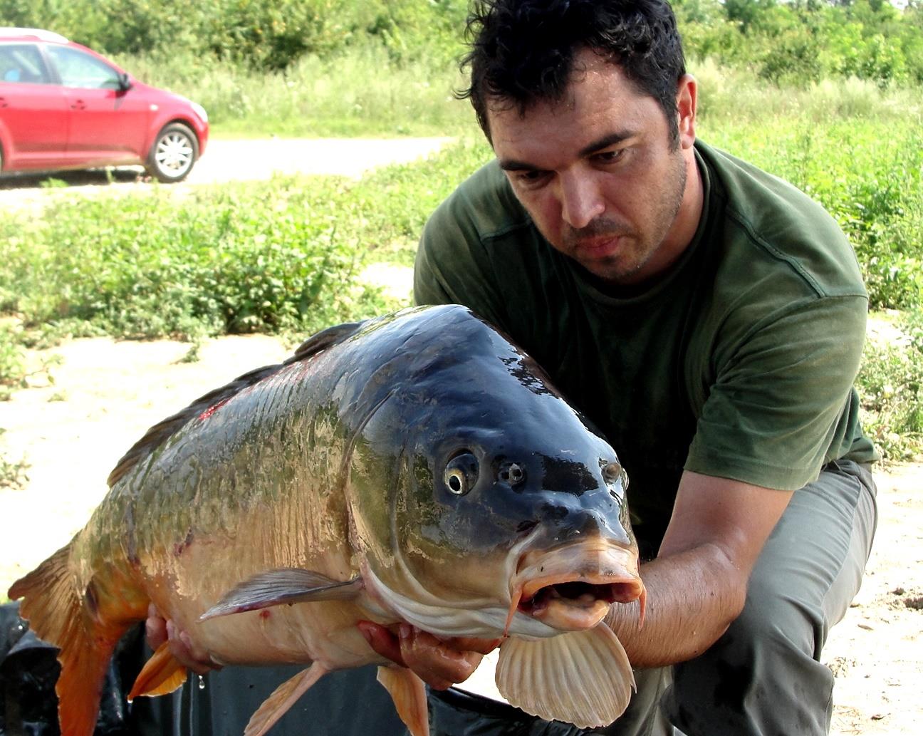 Hermes Peris 25 - 26 iulie 2014 - dsc04152.JPG